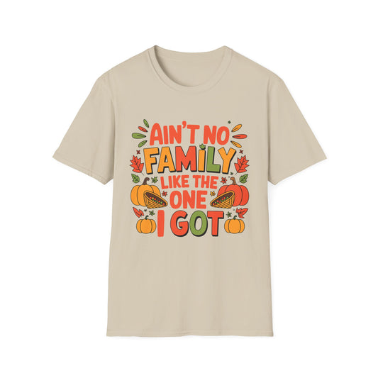 Ain’t No Family Like the One I Got Short Sleeve Tee